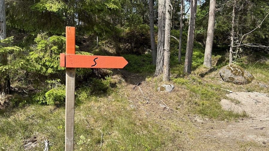 Utforska Sverige: De 10 bästa ställen för trail-löpning